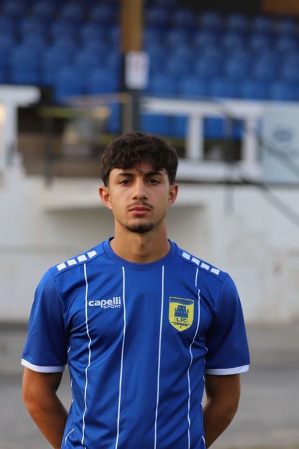 Ali Alawie